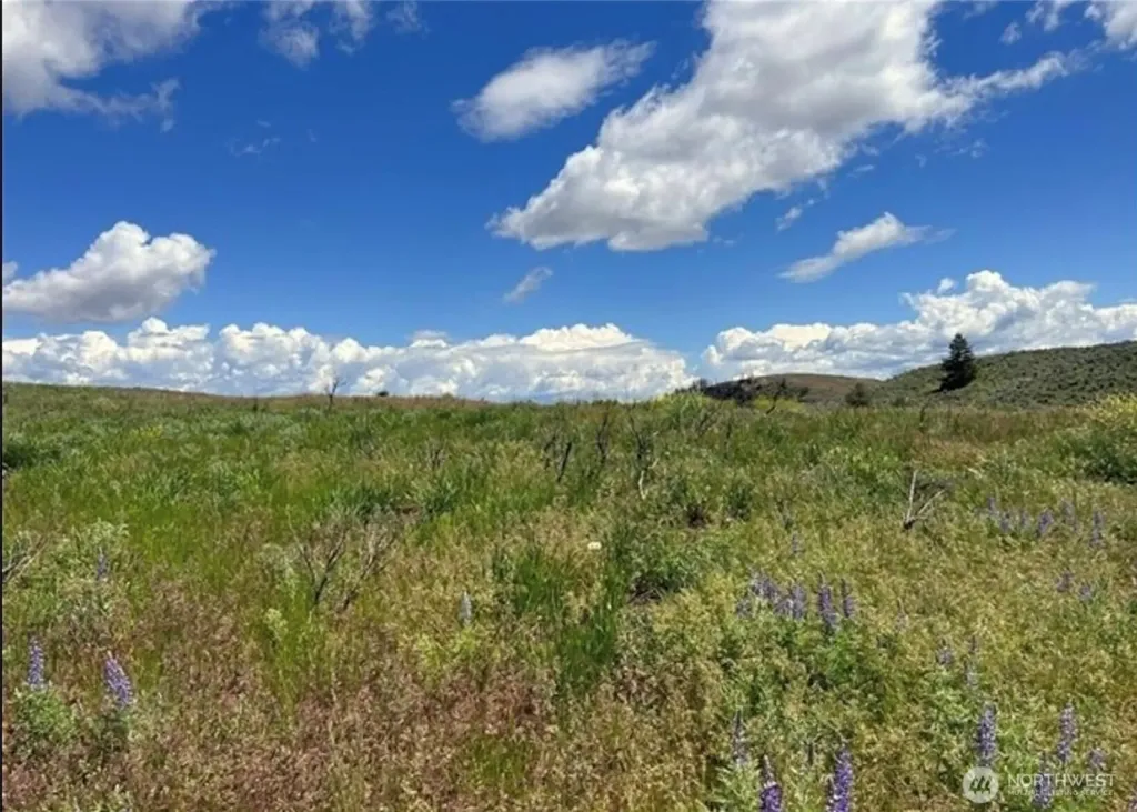 0 Ellemeham Mountain Road Oroville WA 98844