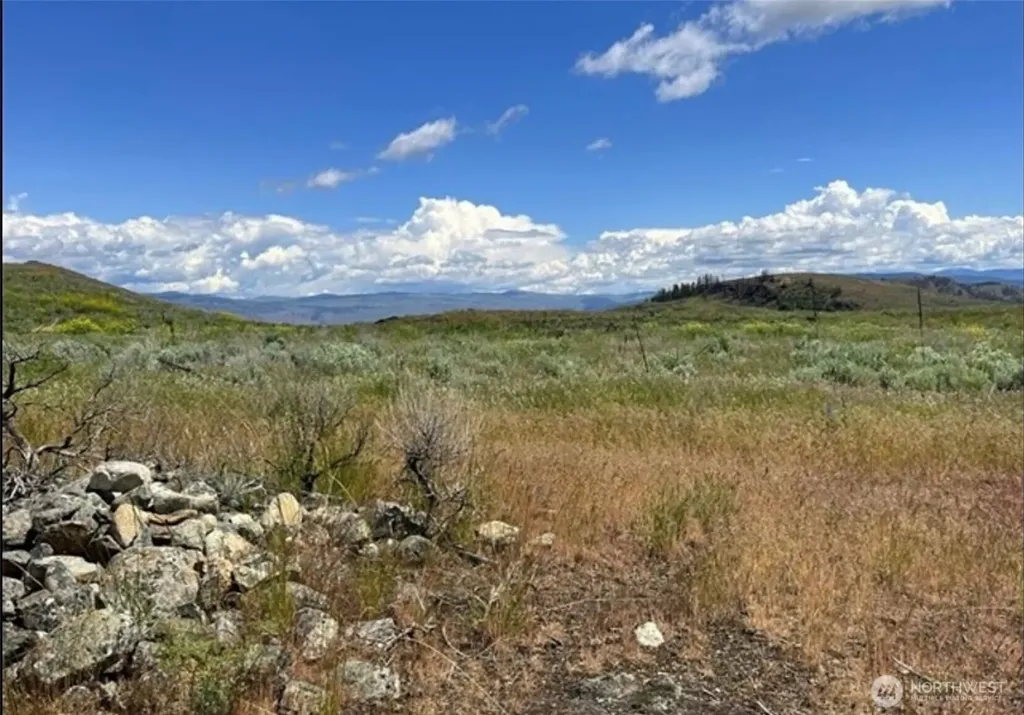 0 Ellemeham Mountain Road Oroville WA 98844