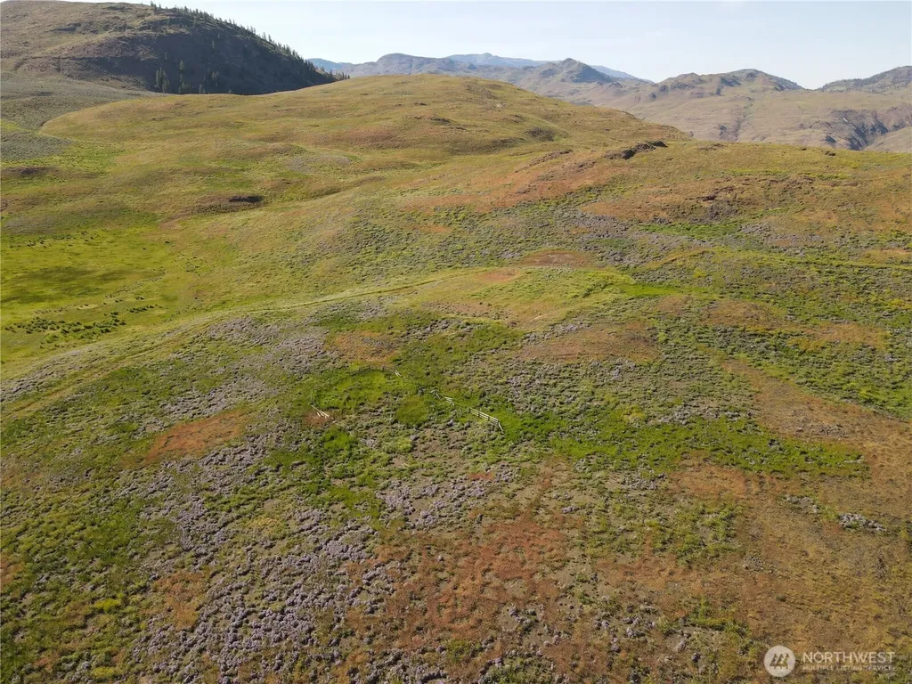 0 Ellemeham Mountain Road Oroville WA 98844