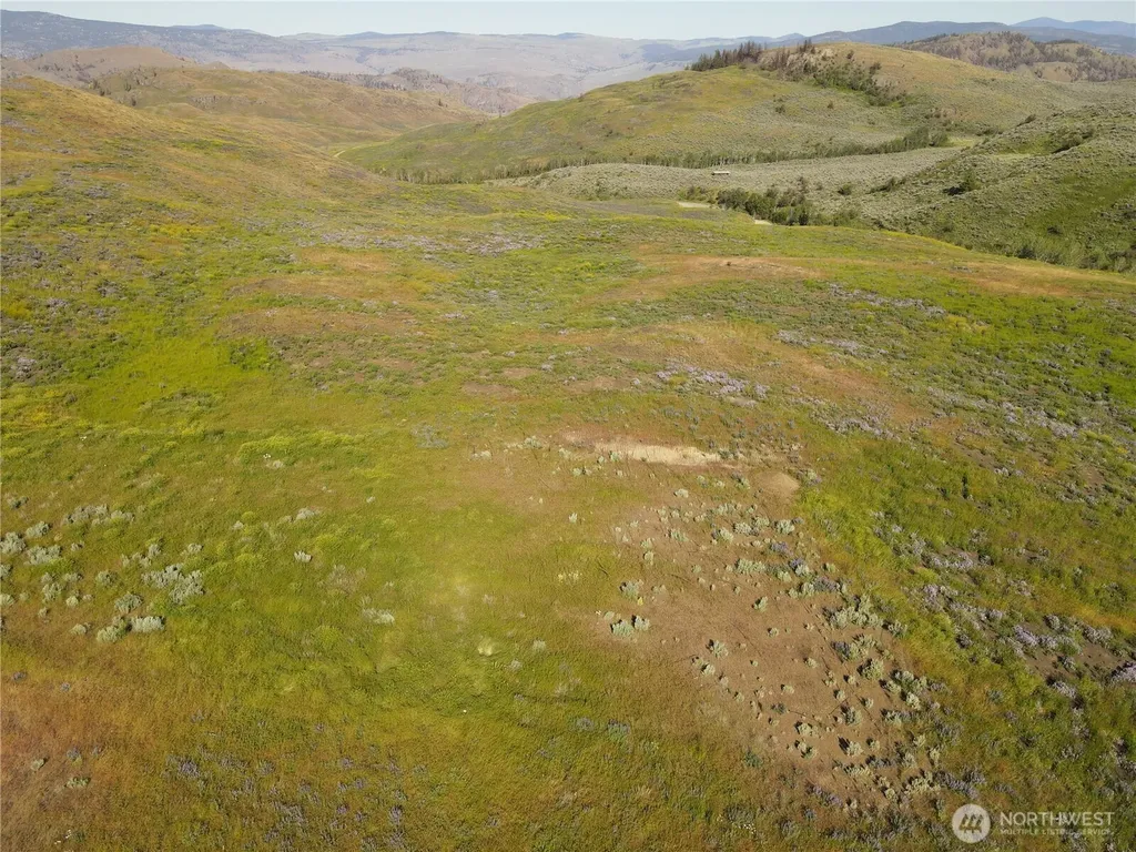 0 Ellemeham Mountain Road Oroville WA 98844