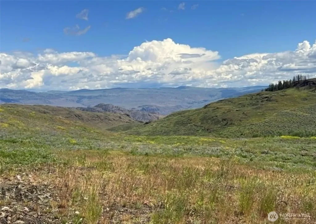 0 Ellemeham Mountain Road Oroville WA 98844