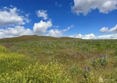 0 Ellemeham Mountain Road Oroville WA 98844