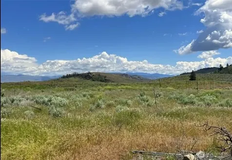 0 Ellemeham Mountain Road Oroville WA 98844