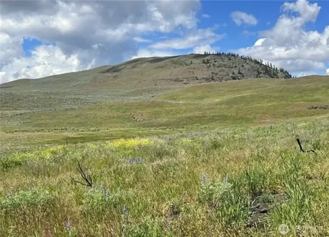 0 Ellemeham Mountain Road Oroville WA 98844