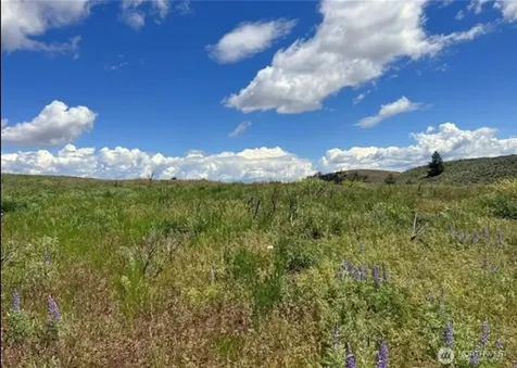 0 Ellemeham Mountain Road Oroville WA 98844