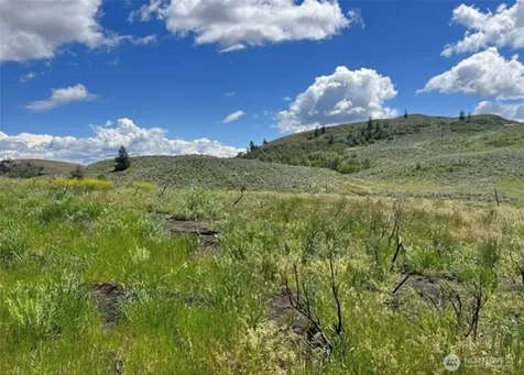 0 Ellemeham Mountain Road Oroville WA 98844