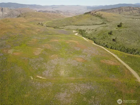 0 Ellemeham Mountain Road Oroville WA 98844