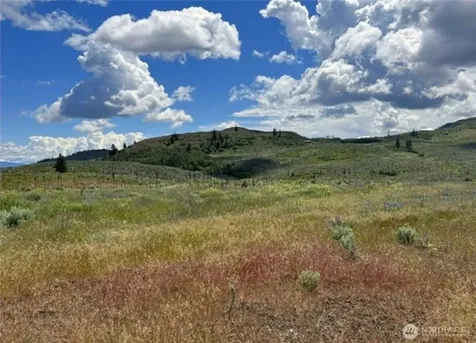 0 Ellemeham Mountain Road Oroville WA 98844