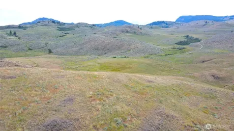 0 Ellemeham Mountain Road Oroville WA 98844