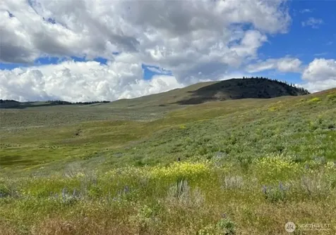 0 Ellemeham Mountain Road Oroville WA 98844