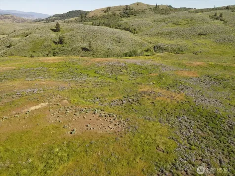 0 Ellemeham Mountain Road Oroville WA 98844