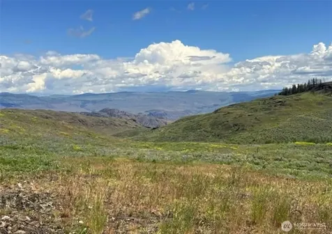 0 Ellemeham Mountain Road Oroville WA 98844