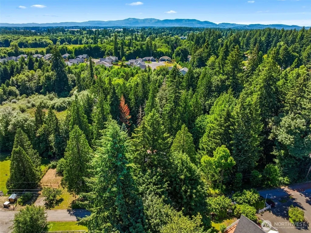 3127 78th Avenue SE Olympia WA 98501