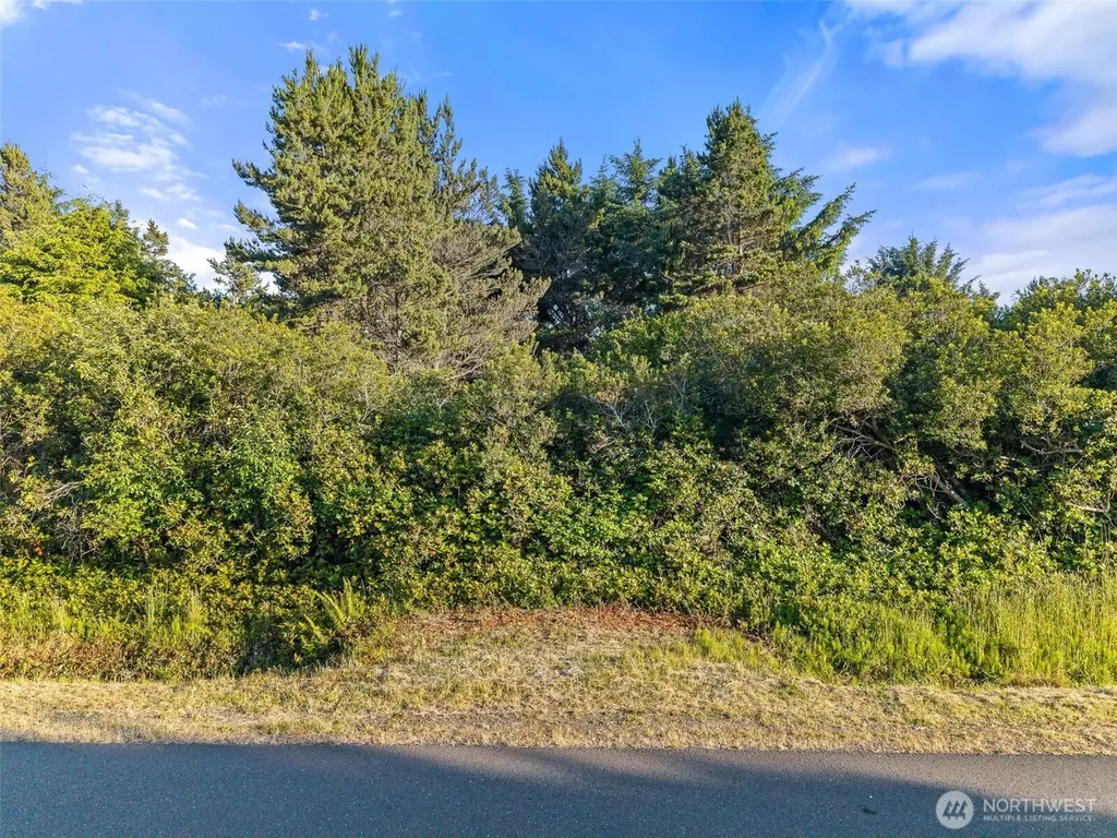 193 N Narwhal Loop NW Ocean Shores WA 98569