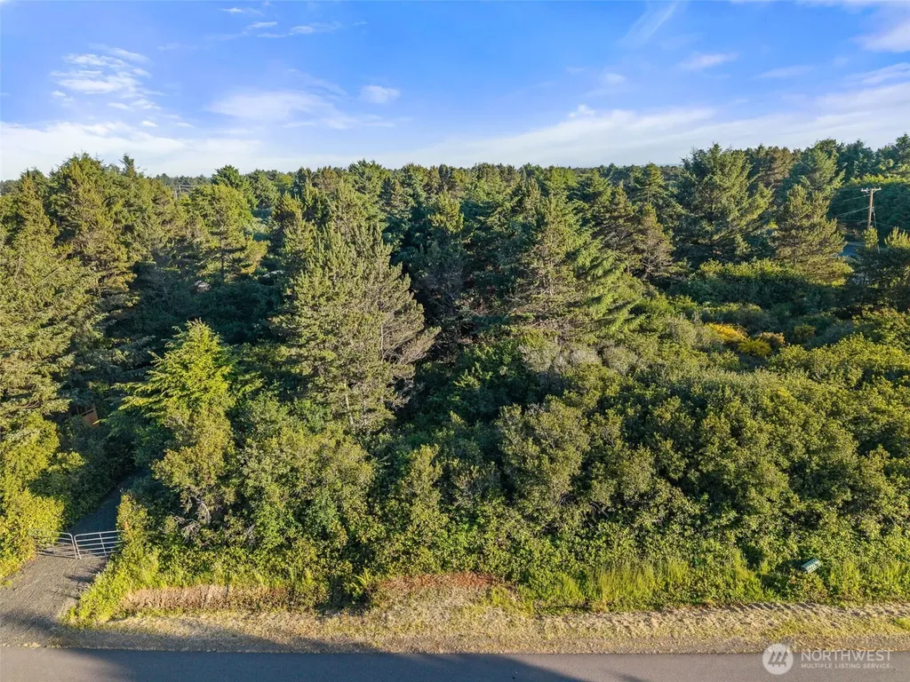 193 N Narwhal Loop NW Ocean Shores WA 98569