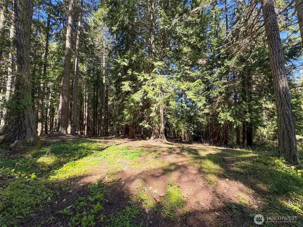 9999 N Bagley Creek Road Port Angeles WA 98362