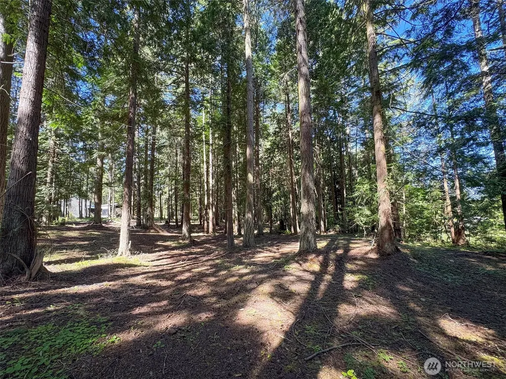 9999 N Bagley Creek Road Port Angeles WA 98362