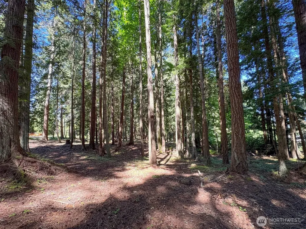 9999 N Bagley Creek Road Port Angeles WA 98362