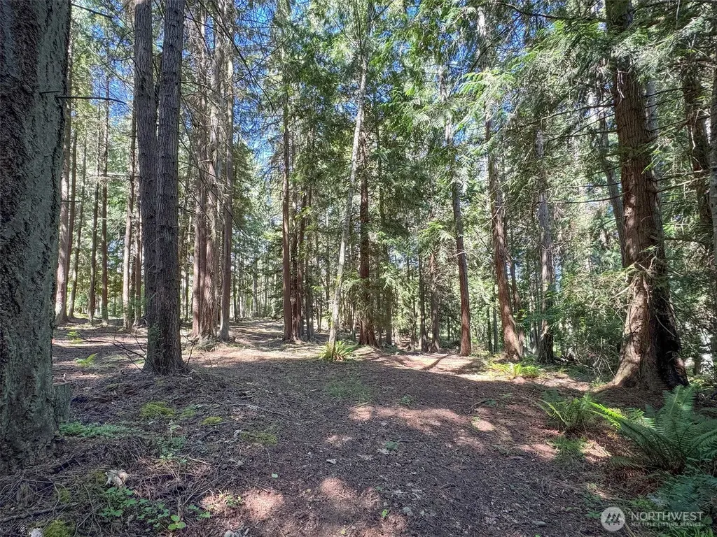 9999 N Bagley Creek Road Port Angeles WA 98362