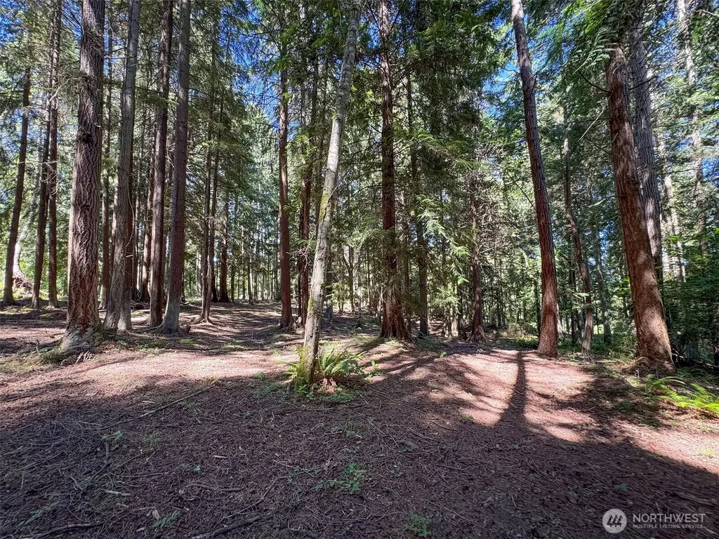 9999 N Bagley Creek Road Port Angeles WA 98362