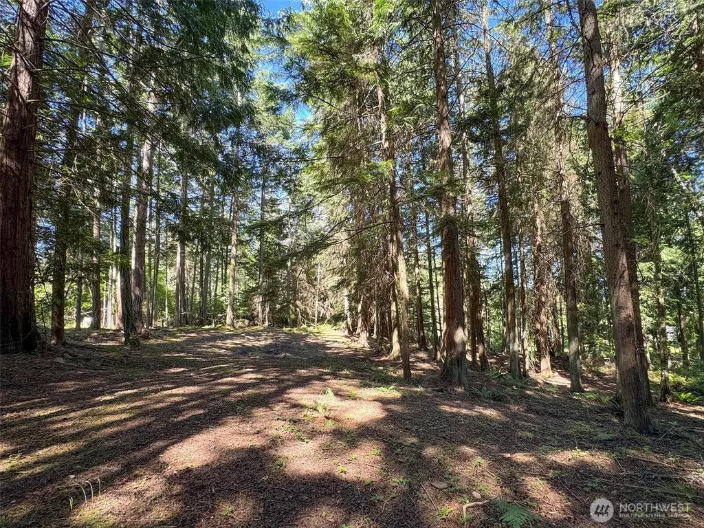 9999 N Bagley Creek Road Port Angeles WA 98362