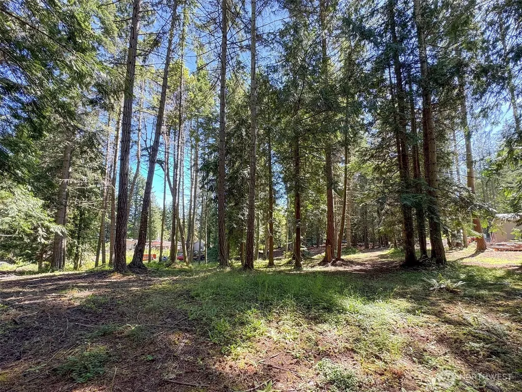 9999 N Bagley Creek Road Port Angeles WA 98362
