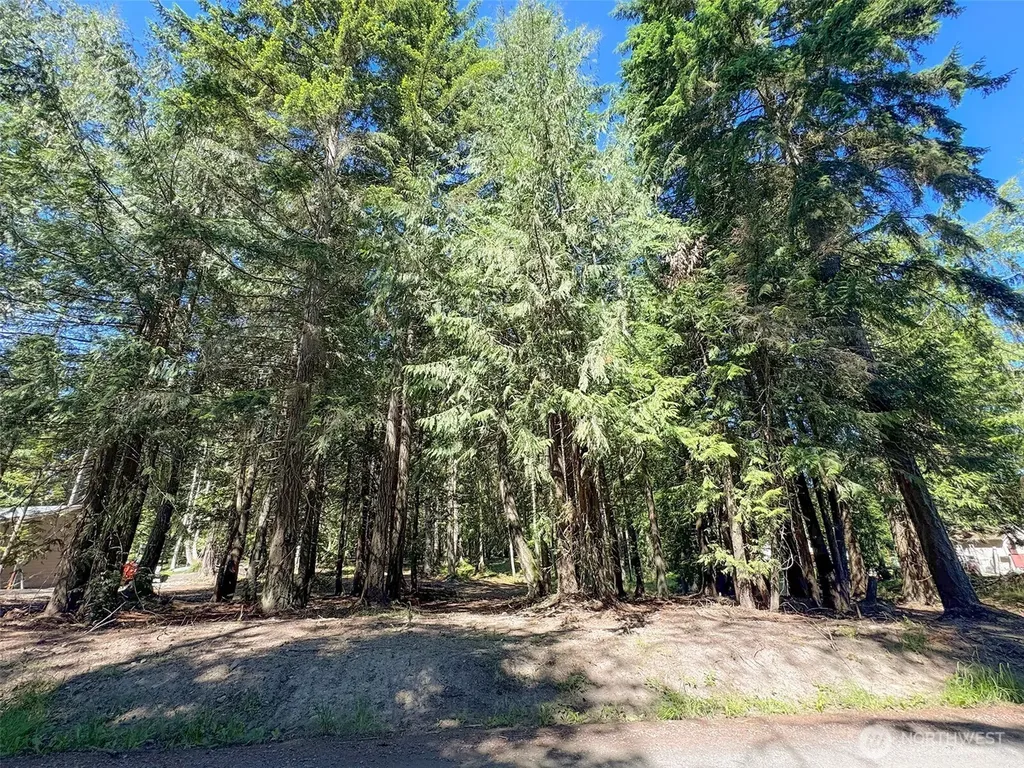 9999 N Bagley Creek Road Port Angeles WA 98362