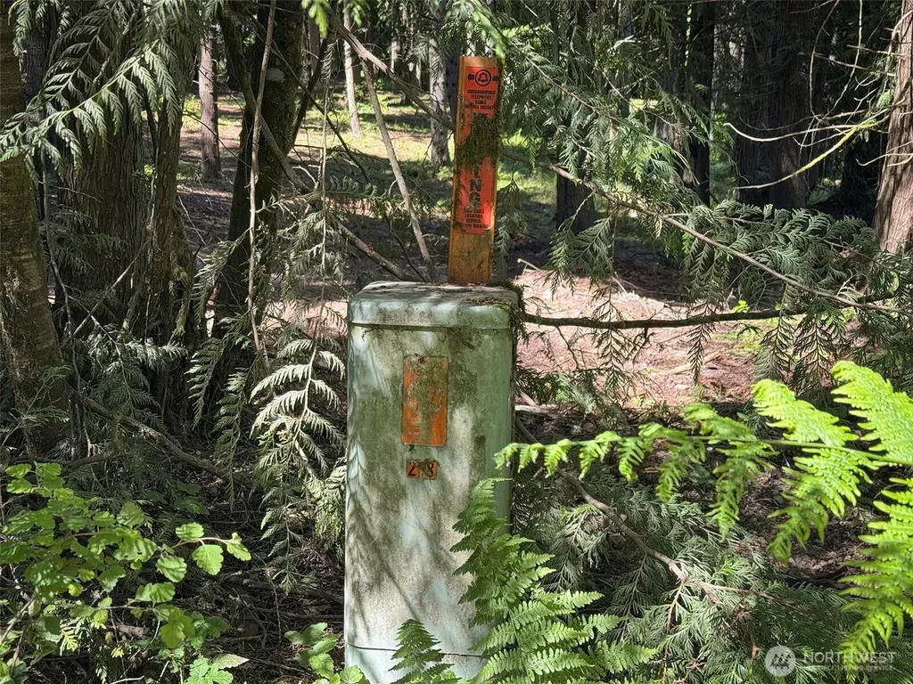 9999 N Bagley Creek Road Port Angeles WA 98362