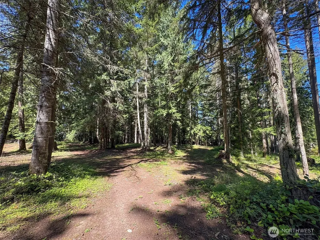 9999 N Bagley Creek Road Port Angeles WA 98362