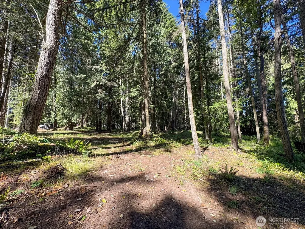 9999 N Bagley Creek Road Port Angeles WA 98362