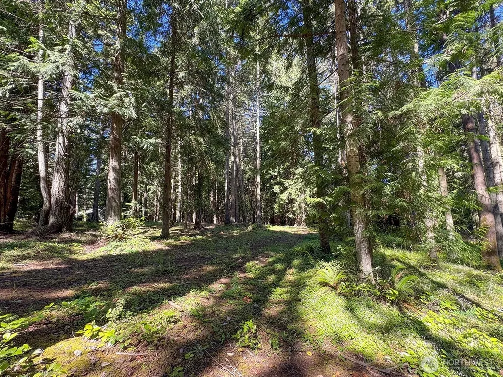 9999 N Bagley Creek Road Port Angeles WA 98362