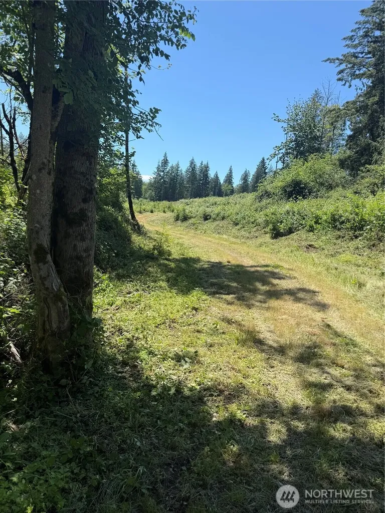 0 114th Avenue Ct E Eatonville WA 98328