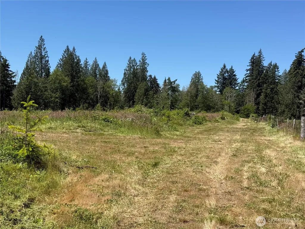 0 114th Avenue Ct E Eatonville WA 98328