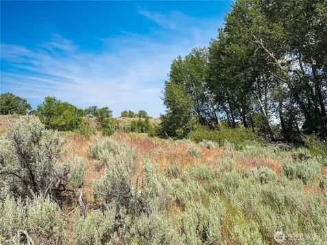 0 Lot 4 Freese Duck Lake Road Omak WA 98841