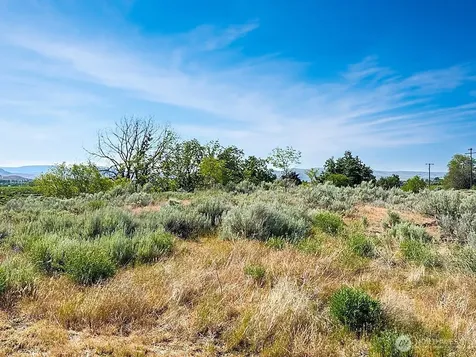 0 Lot 4 Freese Duck Lake Road Omak WA 98841