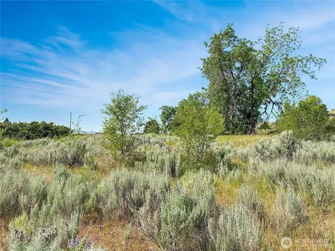 0 Lot 4 Freese Duck Lake Road Omak WA 98841