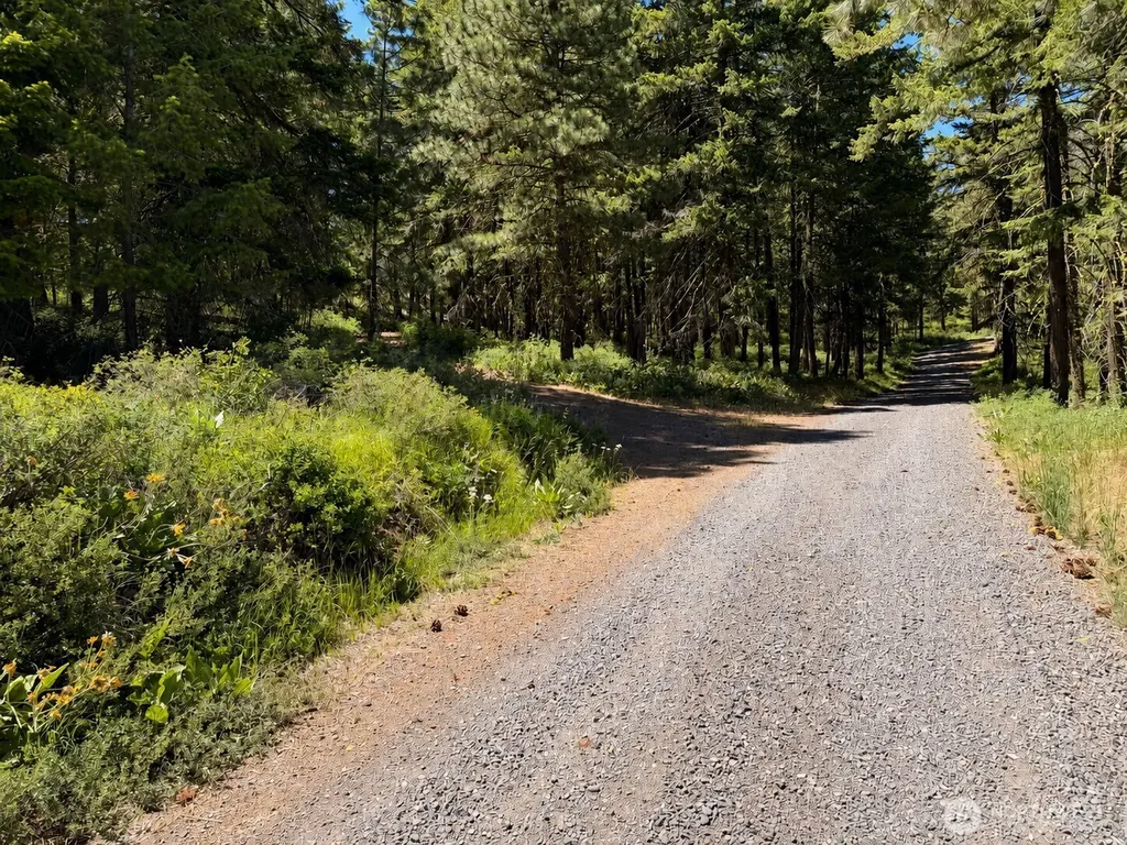 3054 W Sun East Road Ellensburg WA 98926