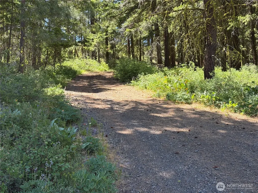 3054 W Sun East Road Ellensburg WA 98926