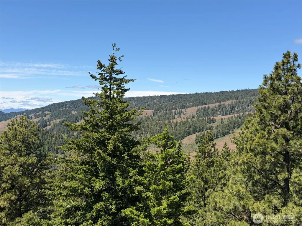 3054 W Sun East Road Ellensburg WA 98926