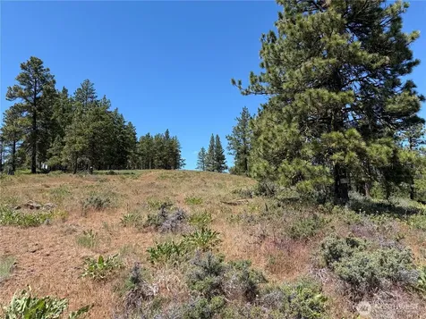 3054 W Sun East Road Ellensburg WA 98926