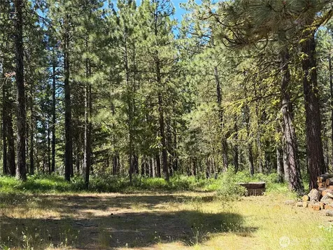 3054 W Sun East Road Ellensburg WA 98926