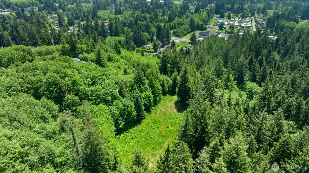115 Reynvaan Drive Aberdeen WA 98520