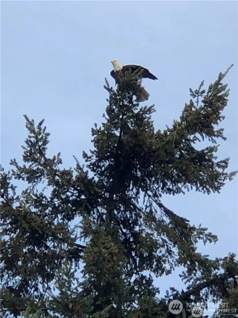3105 59th Place NW Tulalip WA 98271