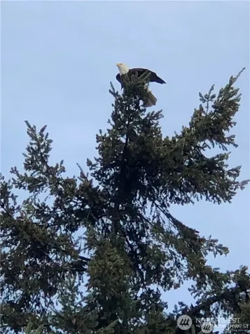 3105 59th Place NW Tulalip WA 98271