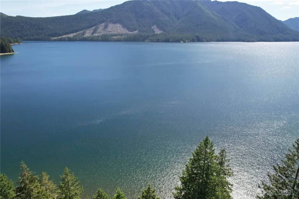 61 N Potlatch Drive N Hoodsport WA 98548