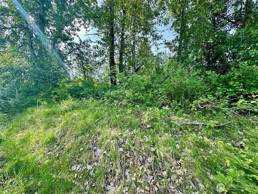 3010 E Sunset Drive Bellingham WA 98226