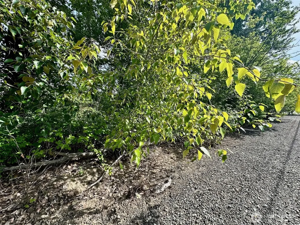 3010 E Sunset Drive Bellingham WA 98226