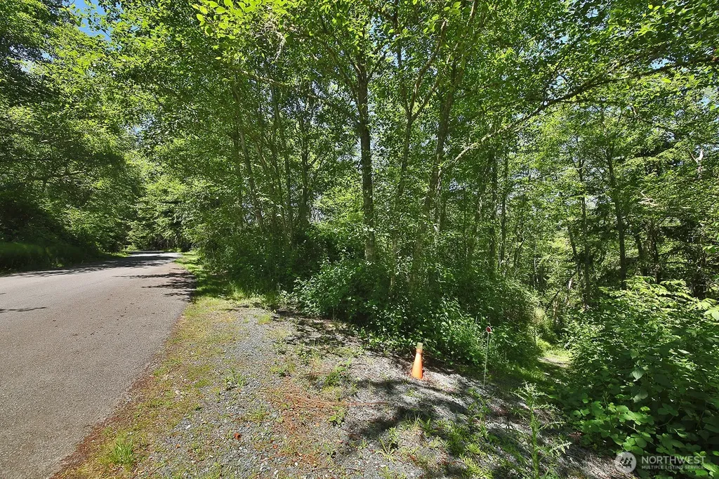 0 Goss Ridge Road Freeland WA 98249