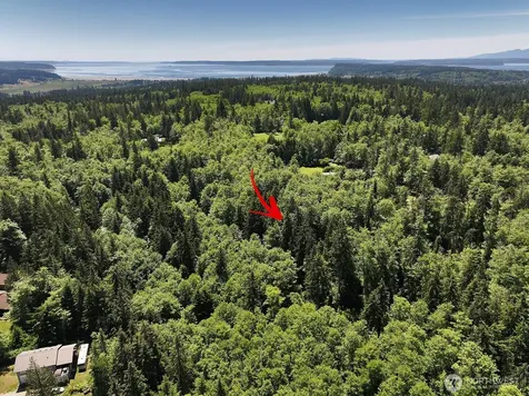 0 Goss Ridge Road Freeland WA 98249