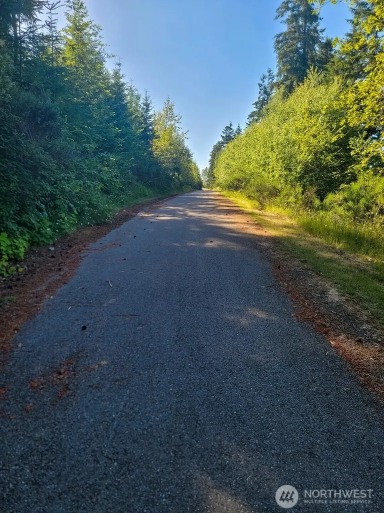 18205 113th Avenue E Puyallup WA 98374